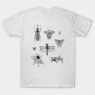 insects T-Shirt